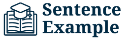 100 Examples of sentences containing the noun